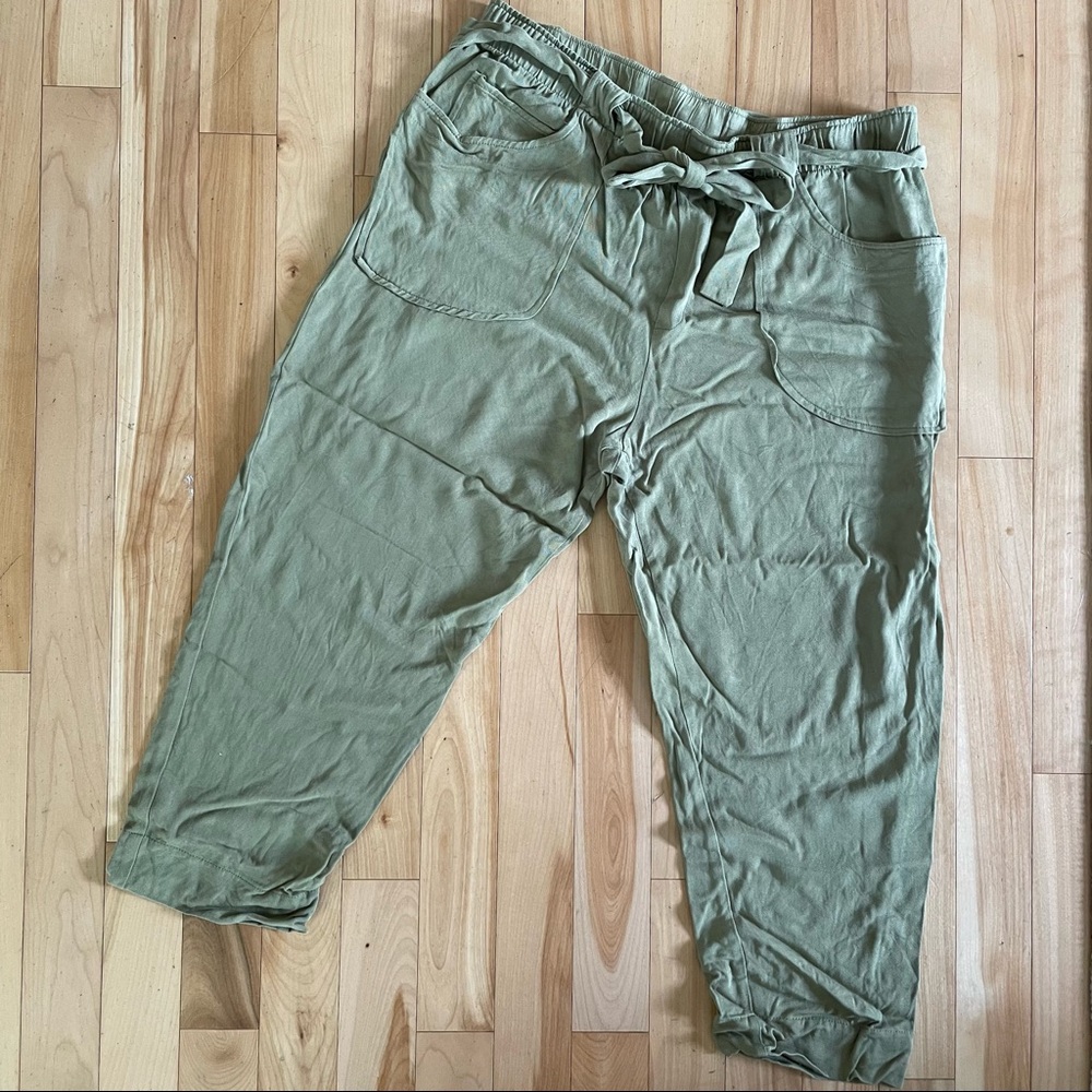 Anthropologie Dolan Left Coast drawstring pants